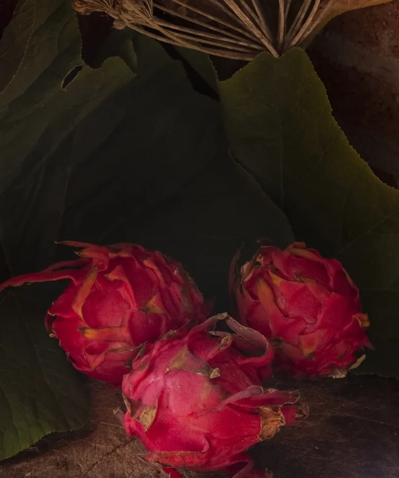 bodegones-bounza- (1)