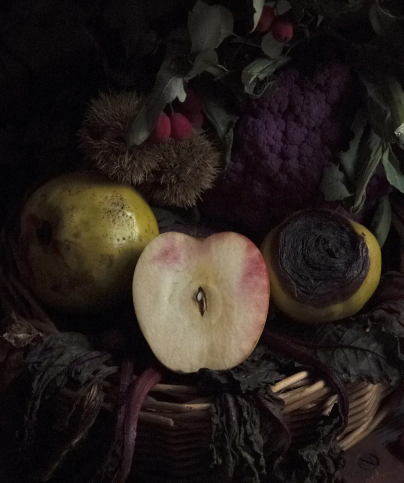 bodegones-bounza- (3)